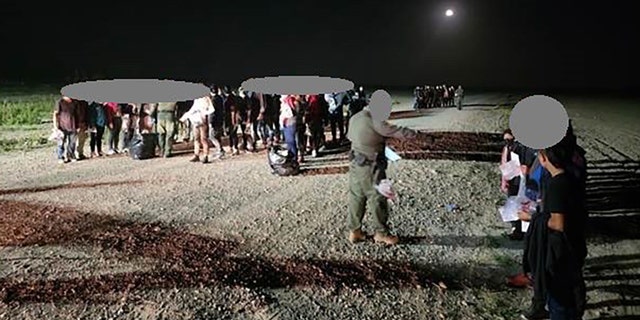 Officials said the groups of illegal immigrants in La Grulla were made up of 44 family members, 58 unaccompanied children, and 181 single adults.