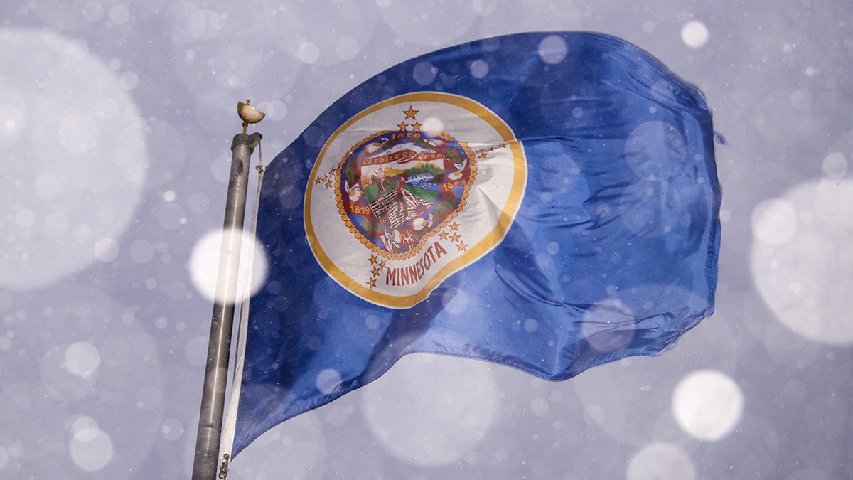 Minnesota's current flag
