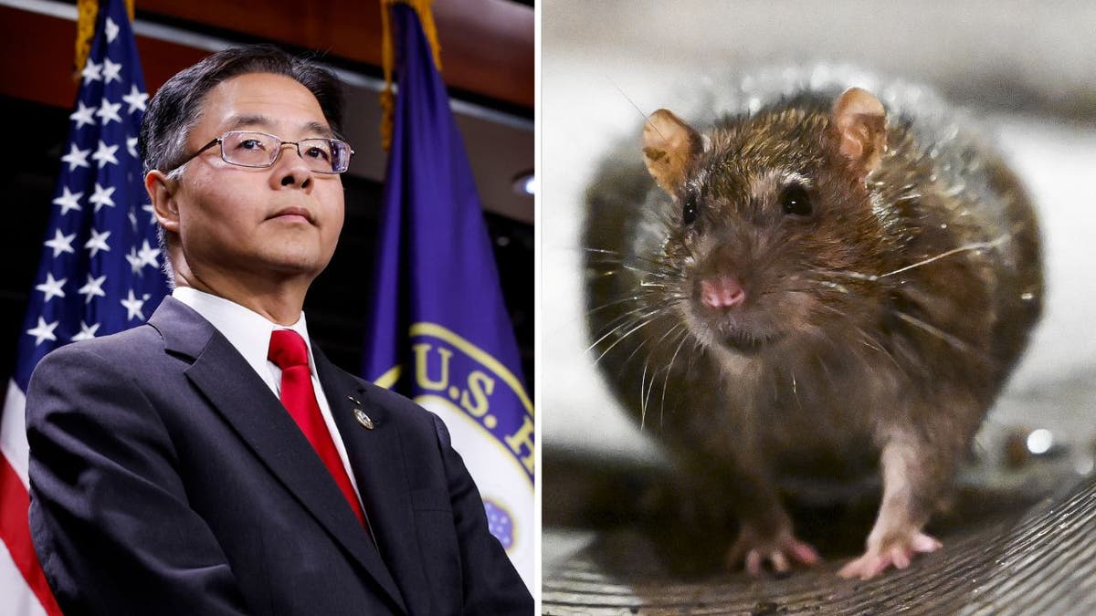 Ted Lieu and a rat