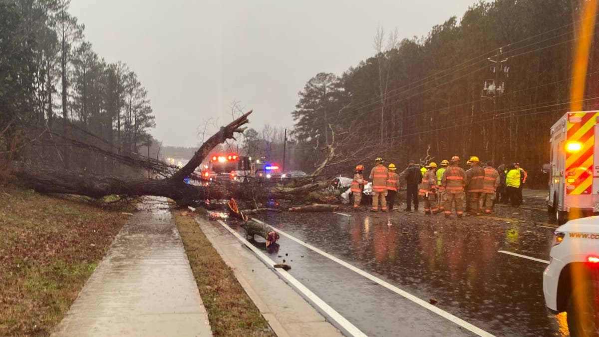 First responders at the scene where a 78-year-old man was killed during a heavy storm Tuesday when a falling tree crashed onto his car.