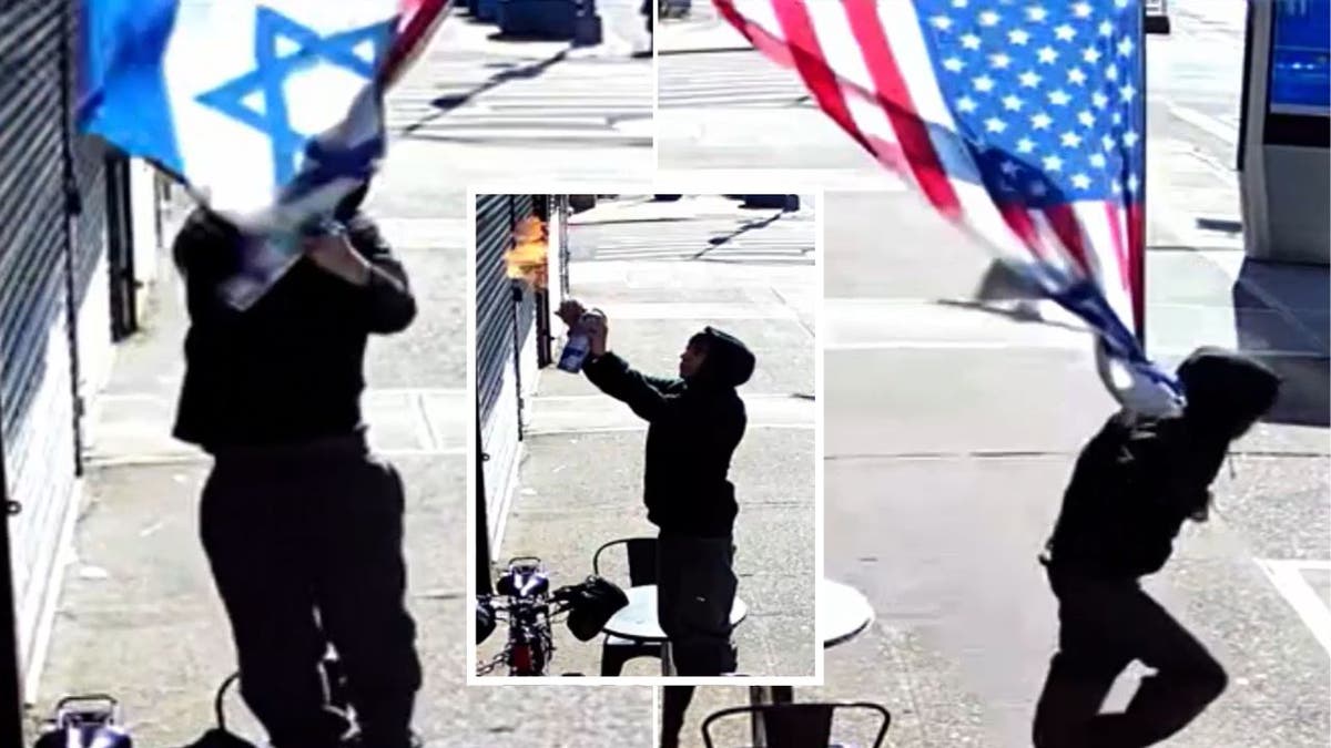 A collage of suspect trying to burn down Israeli and US flags