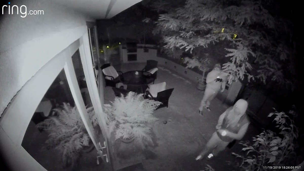 Ring video shows thieves in backyard