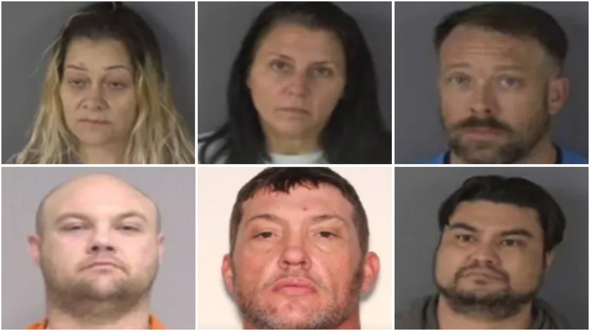 Mugshots of six theft suspects