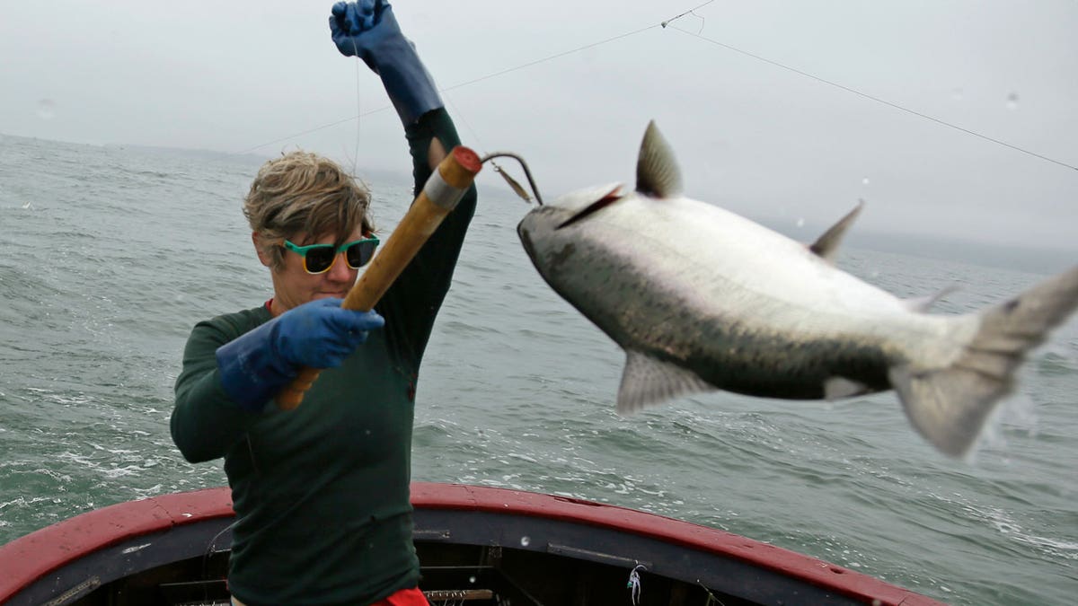 Sarah Bates hauls in a chinook salmon